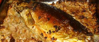 На Никулден без риба не може