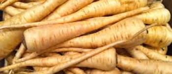 Ни е морков, ни е ряпа, но е вкусно да се папа. Що е то?