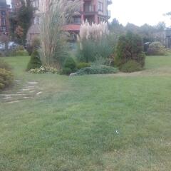 Митака Колев