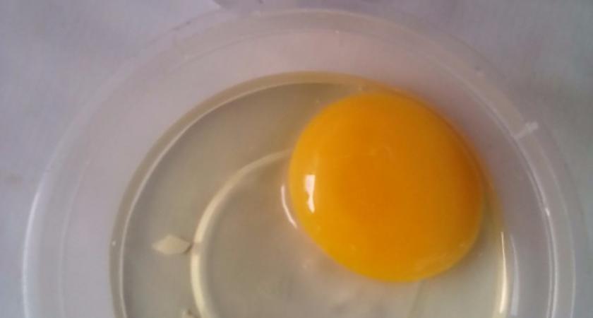 Как да премахнем черупките яйца от купата?