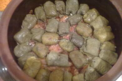 Капама Деси