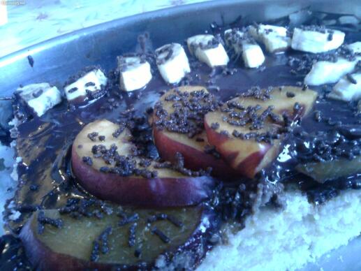 лесна торта Дени