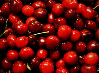 Горе на черешата