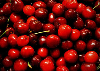 Горе на черешата