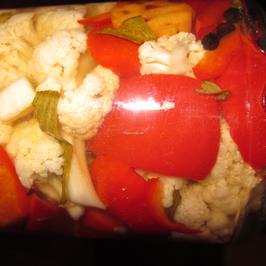 Шарена туршия