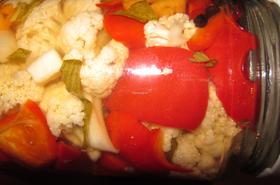 Шарена туршия