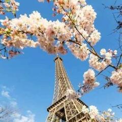 Стефани Данаилова