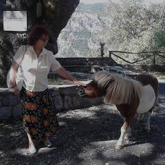 Виолина Кацарова