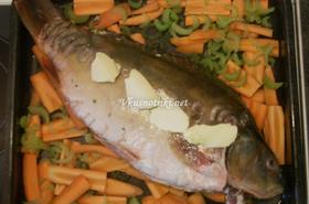 Пълнен шаран