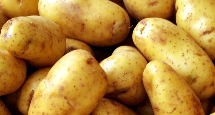 Спасете картофите от разваляне