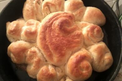 Лесна питка