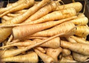 Ни е морков, ни е ряпа, но е вкусно да се папа. Що е то?