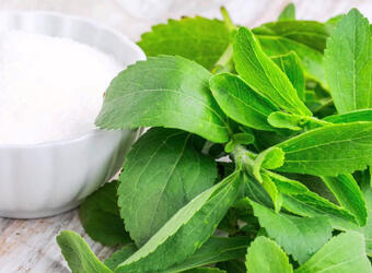 Всичко, което трябва да знаете за стевията