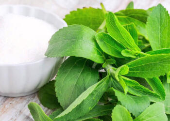 Всичко, което трябва да знаете за стевията