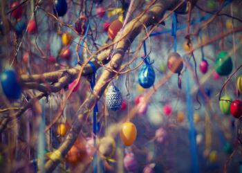 5 Начина за боядисване на Великденски яйца в лесни стъпки + съвети