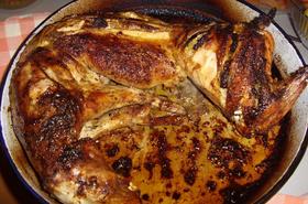 Най-вкусния заек