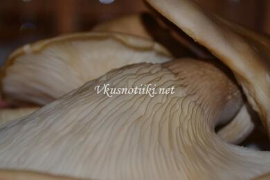 Гъби със сметана