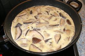 Гъбена феерия