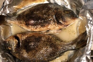 Ципура на фурна