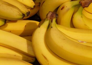 Какво (не) знаете за бананите 