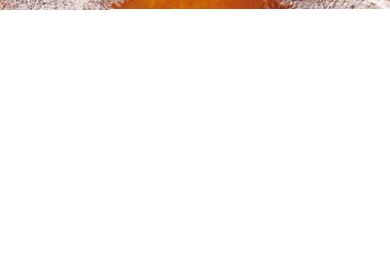 Кекс с пудра захар