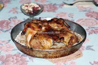 Пиле на сол