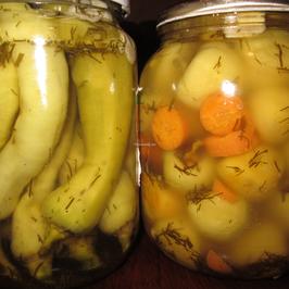 Люти чушлета за зимата