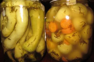 Люти чушлета за зимата